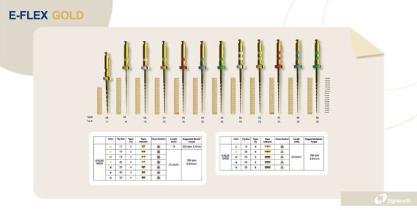 E-Flex Gold rotary file sizes and taper chart – full set of endodontic files